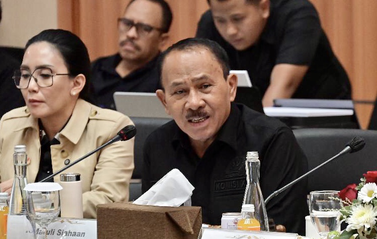 Maruli Siahaan Dorong Digitalisasi dan Database Tunggal dalam RUU Profesi Kurator