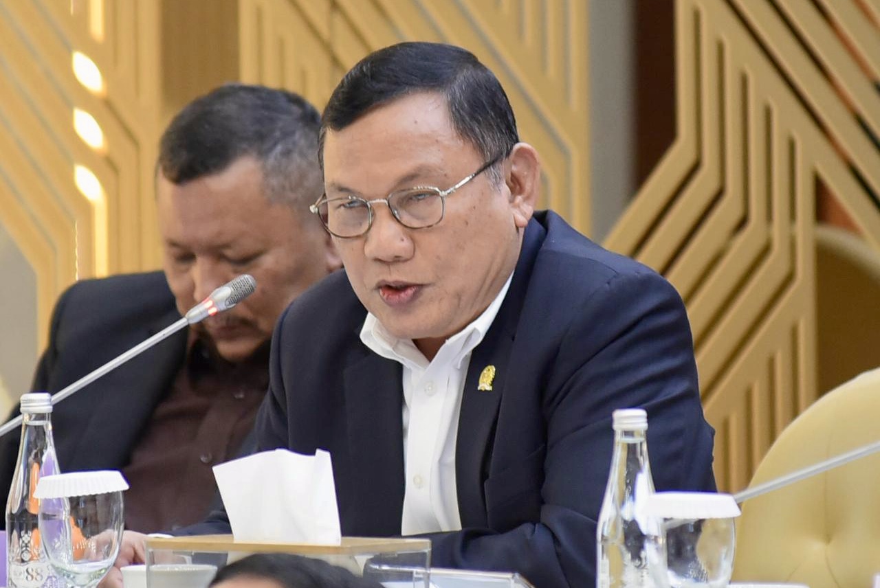 Hanan A. Rozak Dorong Penguatan Koordinasi Lintas Sektor Hadapi Karhutla di Kalimantan
