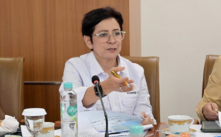 Nurul Arifin: Putusan MK soal Sisa Kuota Internet Perkuat Perlindungan Hak Konsumen